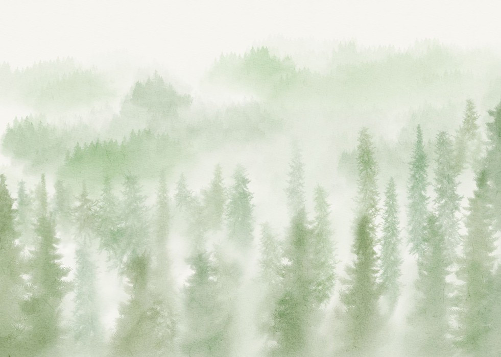 Blurry Woods
