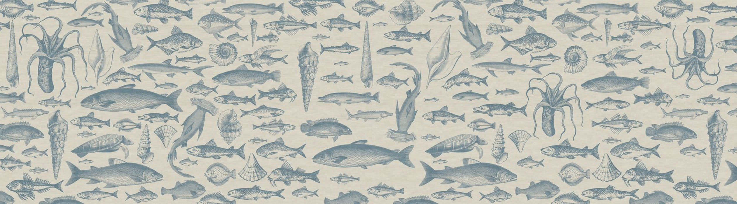Sea Study