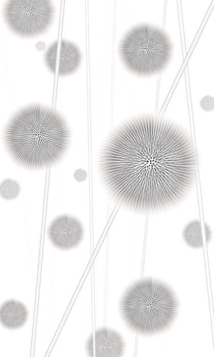 Allium