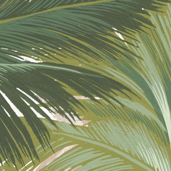 Palmera