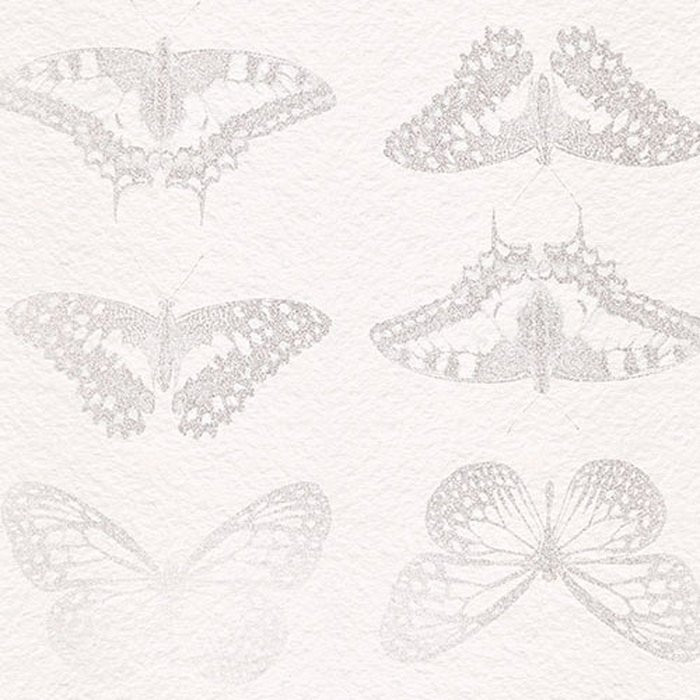 Mur de Papillons