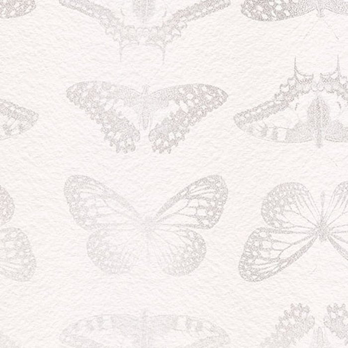 Mur de Papillons