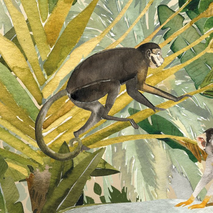 Jungle Expedition
