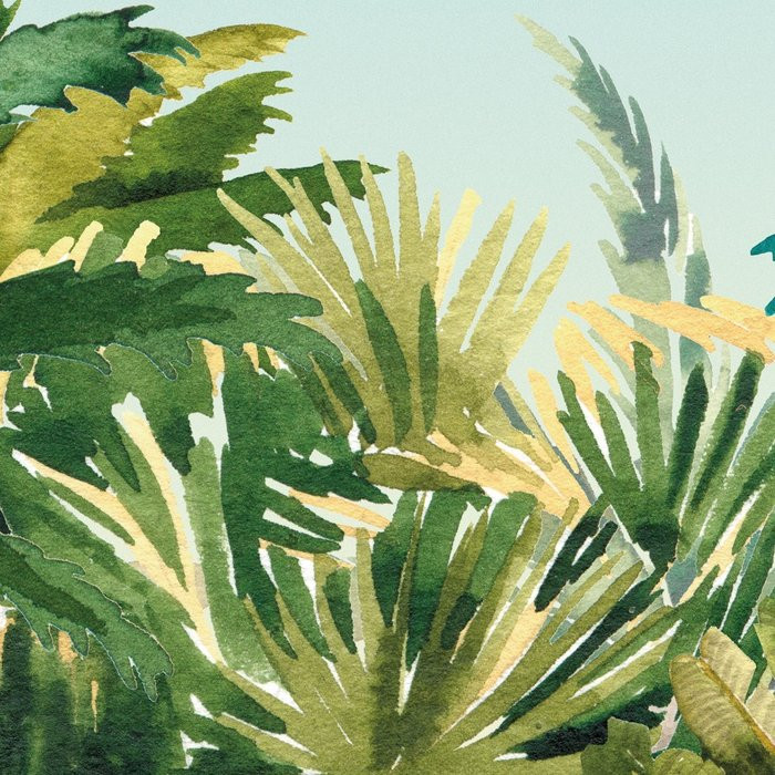 Jungle Expedition