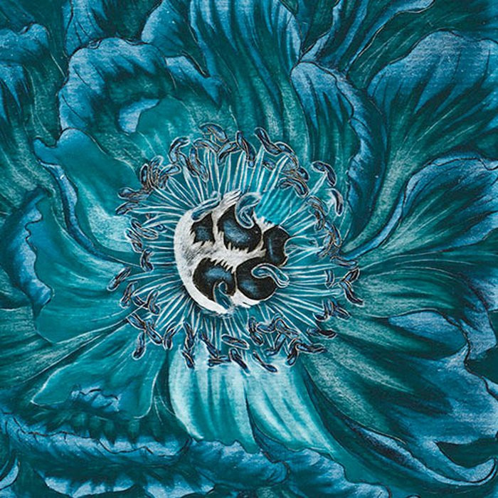 Royal Peony