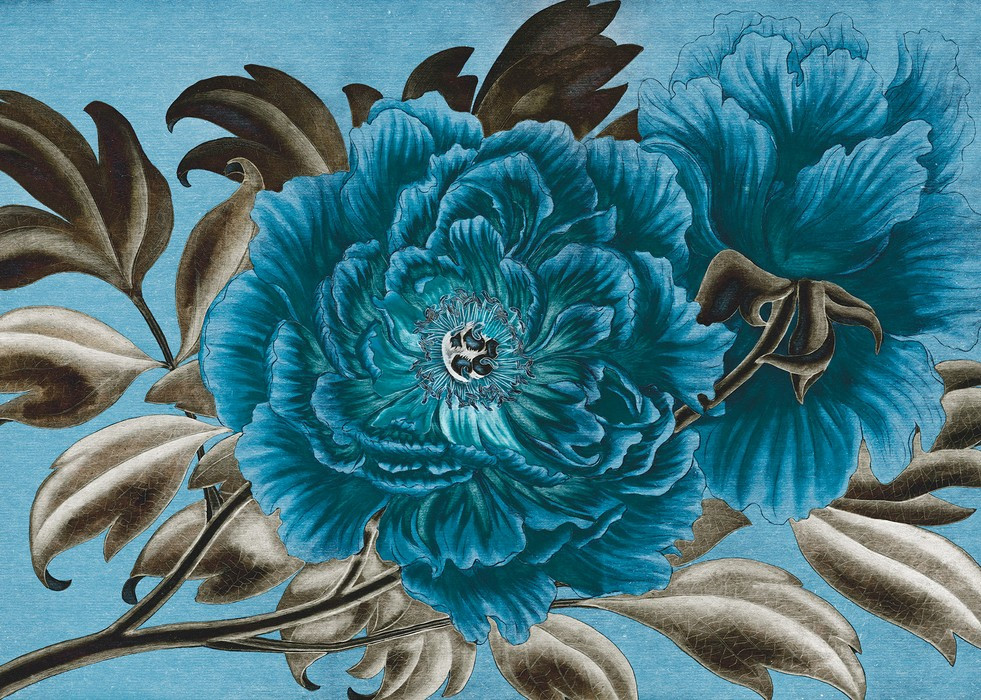 Royal Peony