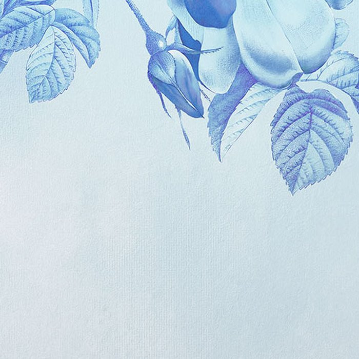 Blue Aura