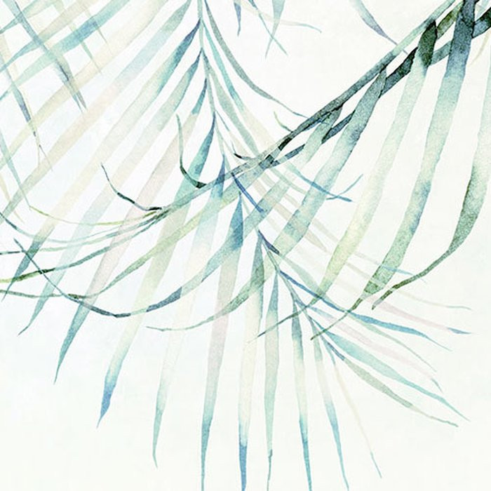 Palm Spring