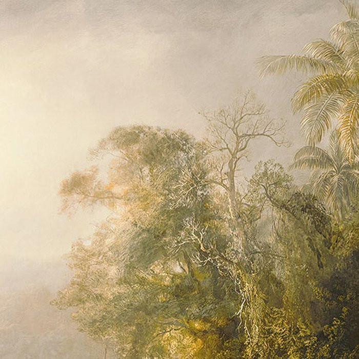 Rio de Luz