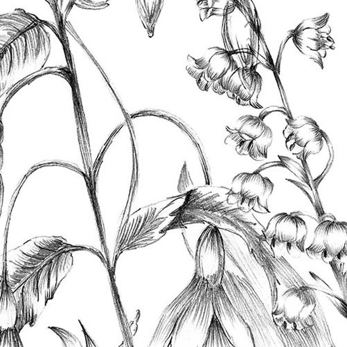 Butterfly Field