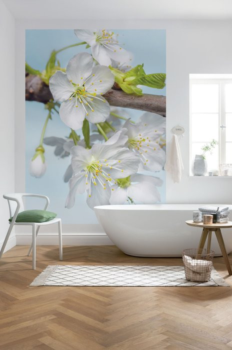 Blossom