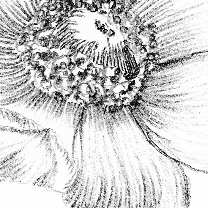 Embroidery