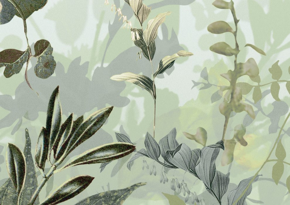 Botanica
