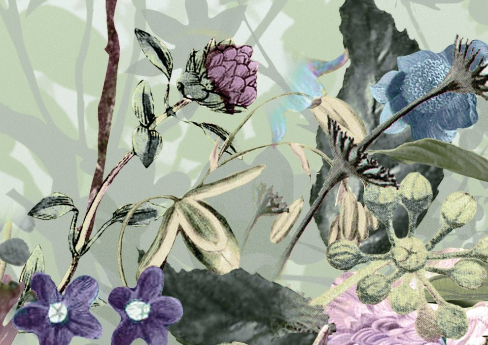 Botanica