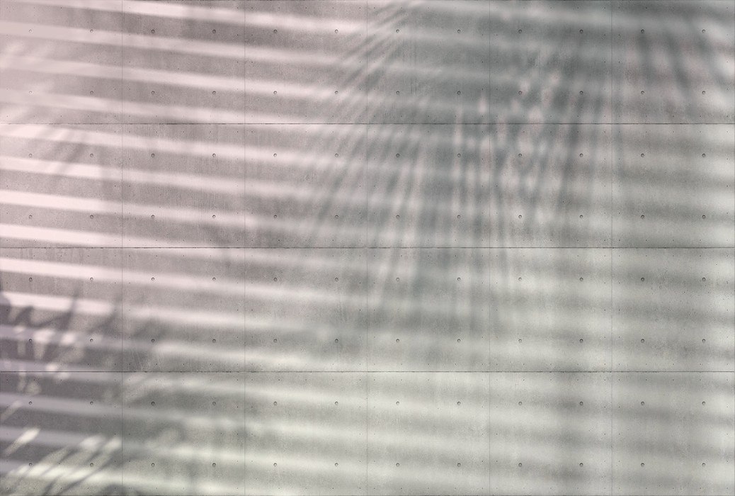 Shadows