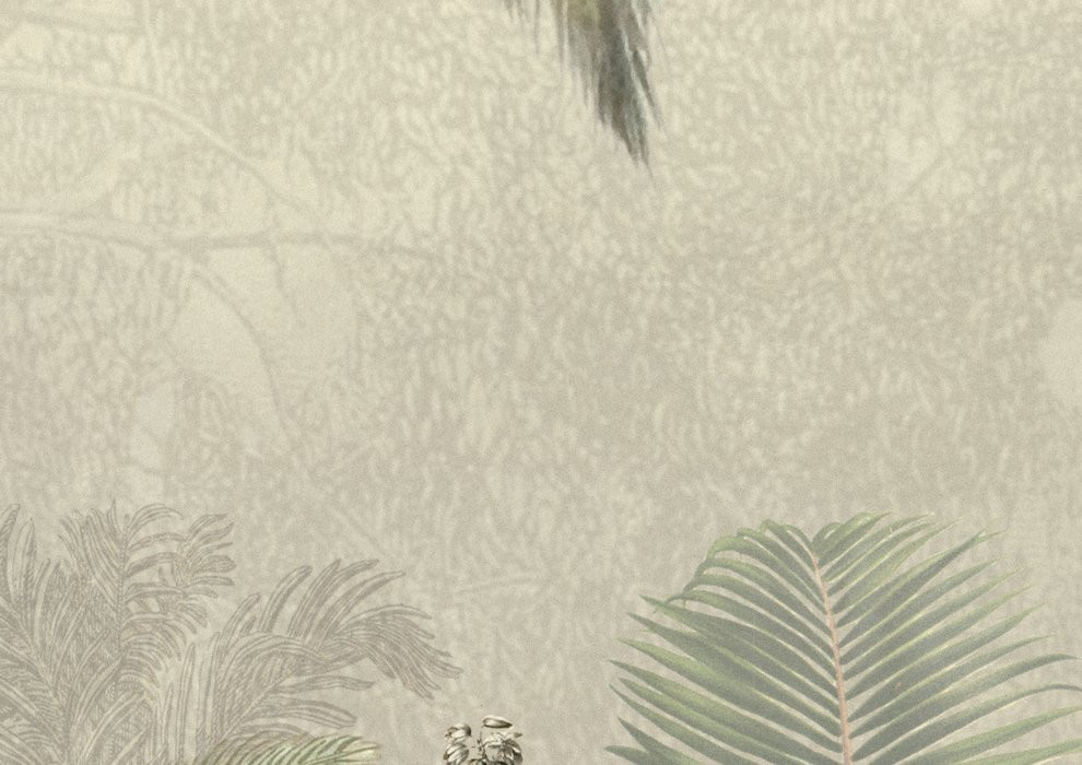 Amazonia