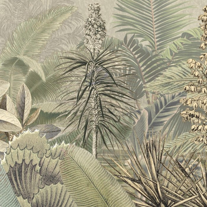 Amazonia