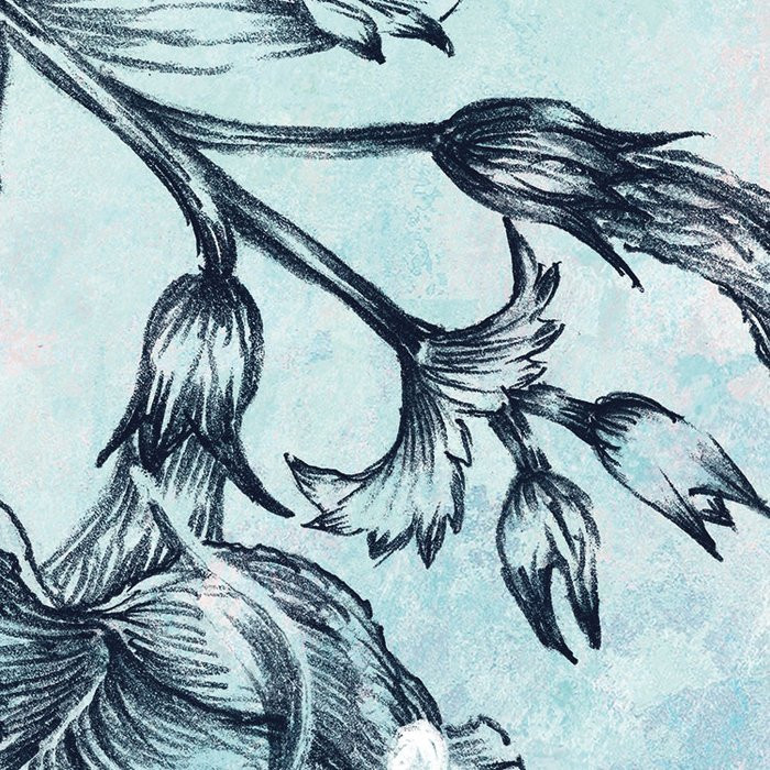 Windflowers
