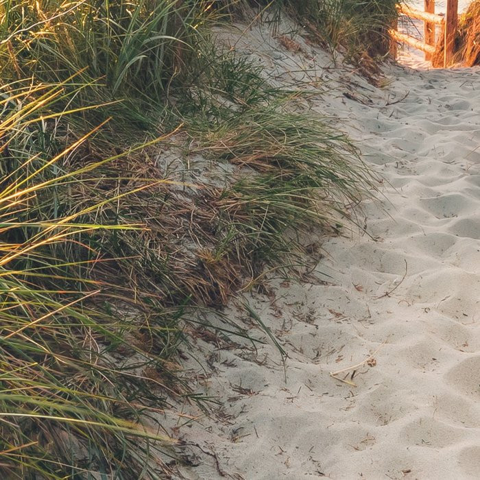 Way to the Beach