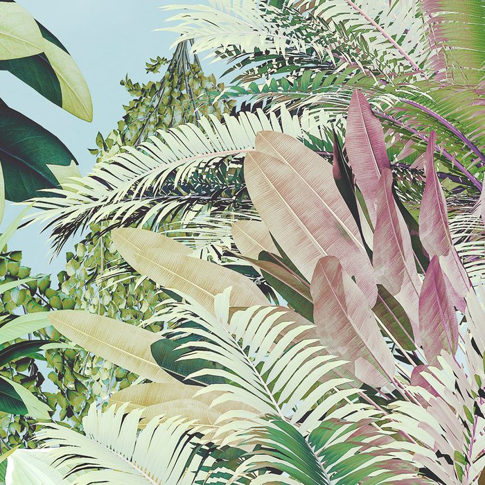 Tropical Heaven