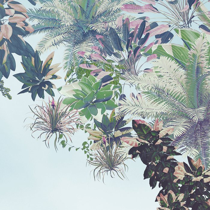Tropical Heaven