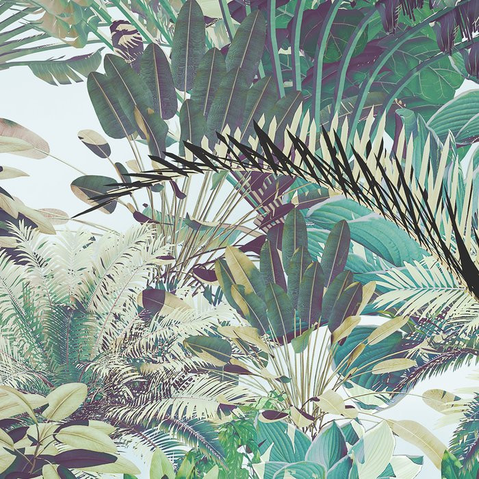 Tropical Heaven