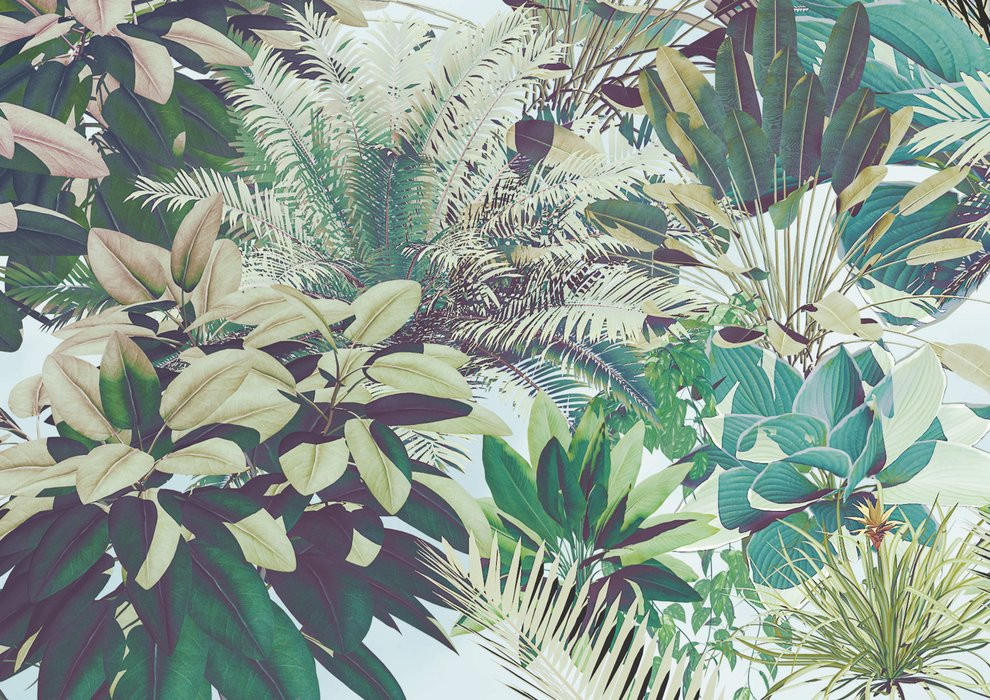 Tropical Heaven