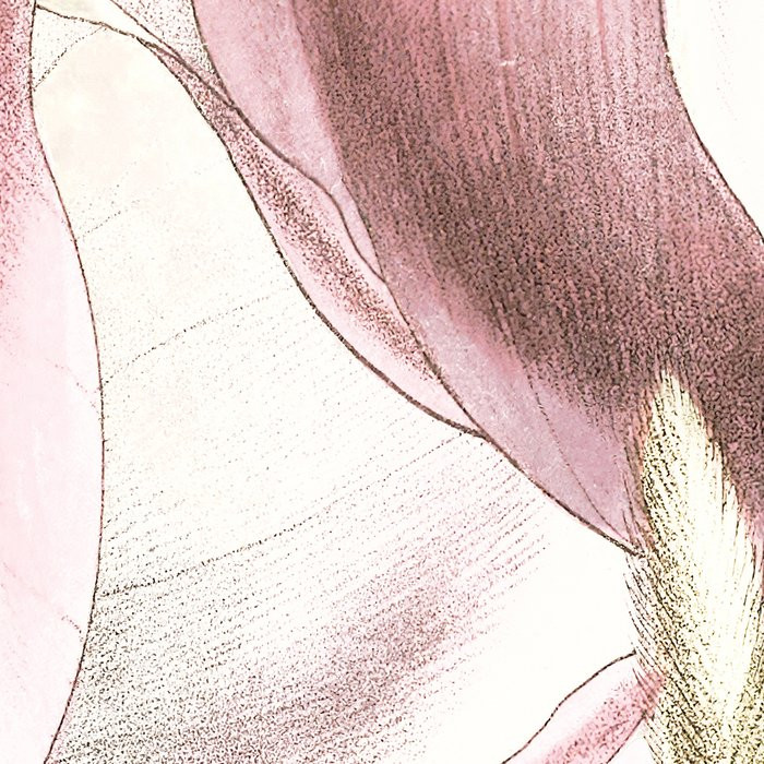 Petals