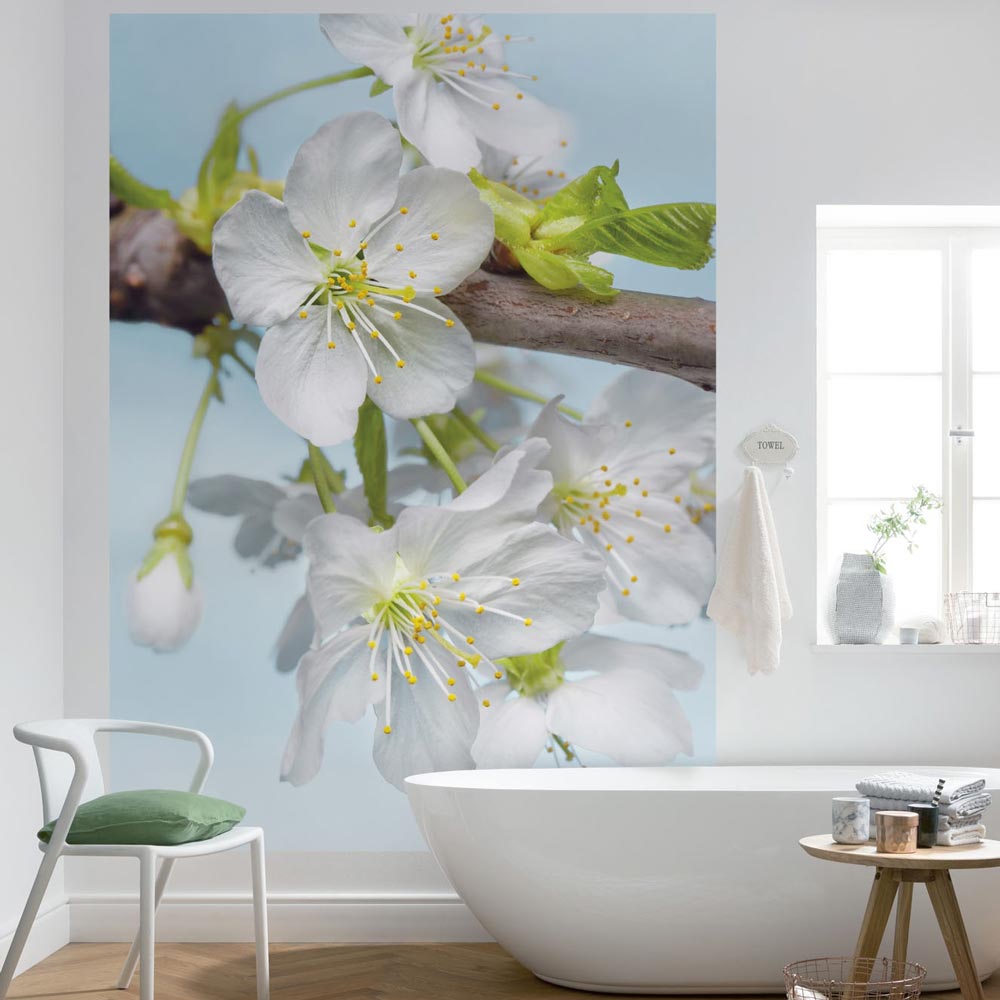 Blossom Blossom