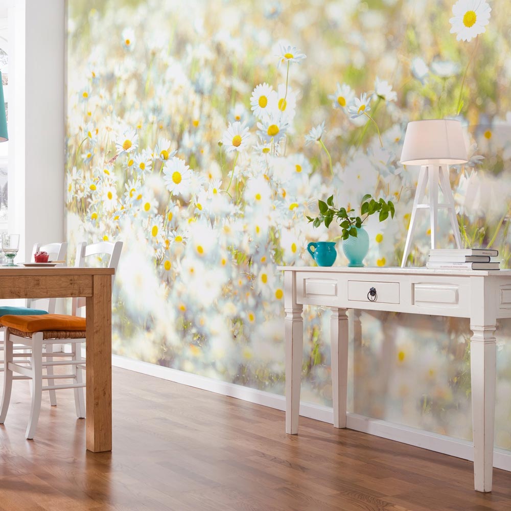 Daisies Daisies