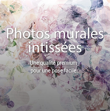 Photos murales intiss&eacute;